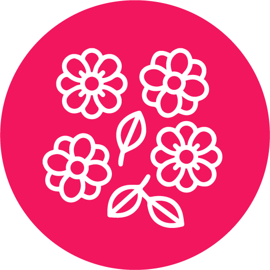 BloomyPro for New Bloom